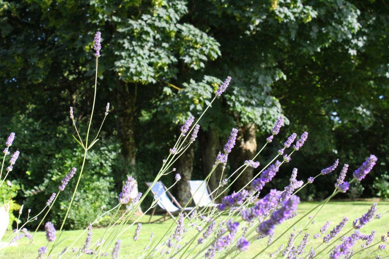 Bed and Breakfast Les Goubelins La Lande-d'Airou Exteriér fotografie